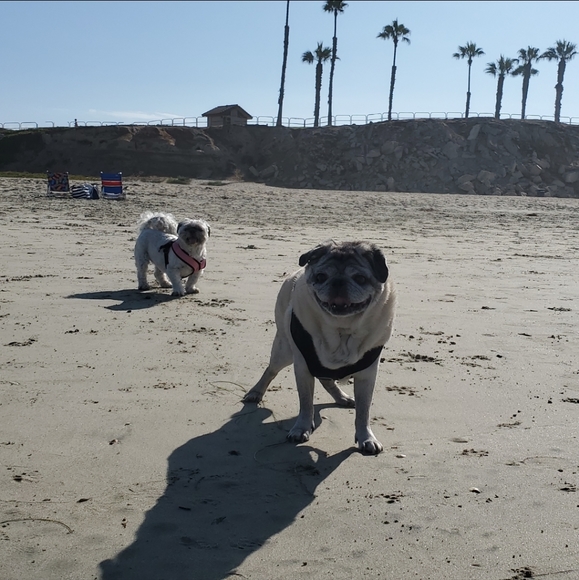 Meet your Posher, Tara - Picture 13 of 13